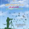 برنامه پرنده نگری دوستانه در تالاب بند علی خان| 98/07/05