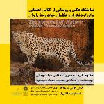 نمایشگاه عکس حیات وحش سید بابک موسوی| 5 الی 12 دی ماه 98