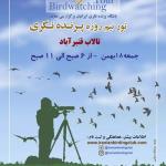 سفر پرنده نگری دوستانه در تالاب قنبر آباد | 10 بهمن 99