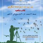 سفر پرنده نگری دوستانه در تالاب صالحیه (آبیک) | 2 اسفند 98