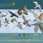 روز جهانی پرندگان مهاجر| 20 اردیبهشت و 19 مهر