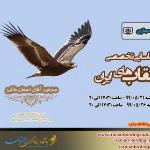کارگاه پیشرفته شناسایی عقاب های ایران|مجازی| 21 و 26 مرداد 99