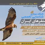 کارگاه پیشرفته شناسایی سنقرهای ایران|مجازی| 20 آبان 99