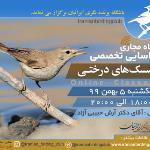 کارگاه پیشرفته شناسایی سسک‌های درختی ایران|مجازی| 5 بهمن 99