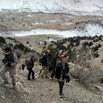 گزارش سفر پرنده‌نگری دوستانه امین آباد(فیروز کوه) | 25 دیماه 99