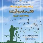 سفر پرنده نگری دوستانه در تالاب صالحیه | 9 بهمن 99