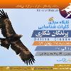 کلیات شناسایی پرندگان شکاری |مجازی| سه‌شنبه 28 بهمن 99
