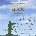 سفر پرنده نگری دوستانه در تالاب قنبرآباد | 24 بهمن 99
