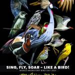 روز جهانی پرندگان مهاجر سال 1400- 18 اردیبهشت