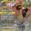 پرنده‌نگری در گلوگاه (مازندران) | چهارشنبه 7 مهر تا جمعه 9 مهر 1400