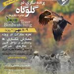 پرنده‌نگری در گلوگاه (مازندران) | چهارشنبه 7 مهر تا جمعه 9 مهر 1400