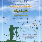 پرنده نگری در تالاب قنبرآباد و سایت شکاریها | جمعه 1 بهمن 1400