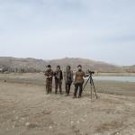 گزارش برنامه پرنده‌نگری دوستانه در سد و حاشیه رودخانه نمرود (فیروزکوه)| 3 فروردین 1400