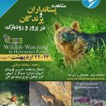 برنامه مشاهده‌ حیات وحش (پستانداران و پرندگان) در پرور و رودبارک | 22 و 23 اردیبهشت1401