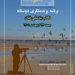 برنامه پرنده‌نگری دوستانه به مناسبت روز جهانی پرندگان مهاجر در بند علی‌خان | جمعه 23 اردیبهشت 1401