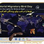 روز جهانی پرندگان مهاجر - 24 اردیبهشت 1401