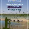 برنامه پرنده‌نگری دوستانه در تالاب صالحیه به مناسبت روز جهانی پرندگان مهاجر | پنج‌شنبه 22 اردیبهشت 1401