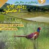 برنامه پرنده‌نگری در جنگل‌های رودبار - کلایه - خاصکول | 5 و 6 خرداد 1401 (1.5 روزه)