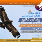 کارگاه کلیات شناسایی پرندگان شکاری | سه‌شنبه 28 تیر 1401