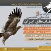 کارگاه شناسایی تخصصی عقاب‌های ایران | دوشنبه و سه‌شنبه 10 و 11 مرداد 1401