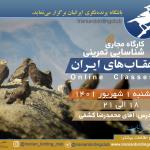کارگاه شناسایی تمرینی عقاب‌های ایران (عکس‌محور) | سه‌شنبه 1 شهریور 1401