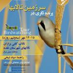 پرنده‌نگری در تالاب کانی برازان و تالاب‌های شهرستان نقده | 12 تا 15 مهر 1401