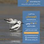 پرنده‌نگری در بلوچستان | 22 تا 26 بهمن 1401