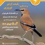 سفر پرنده‌نگری نوروزی در حاشیه پارک ملی توران | 3 تا 5 فروردین 1402