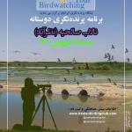 برنامه پرنده‌نگری در تالاب صالحیه | جمعه 25 فروردین 1402