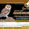 اصول شناسایی پرندگان بر اساس آواز و صدا؛ بررسی موردی جغدهای خاص ایران