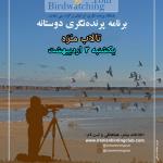 برنامه پرنده‌نگری در تالاب مره | یکشنبه 3 اردیبهشت 1402