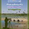 برنامه پرنده‌نگری در تالاب صالحیه | جمعه 22 اردیبهشت 1402