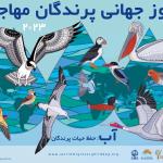 روز جهانی پرندگان مهاجر 1402 | 23 اردیبهشت