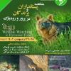 برنامه مشاهده حیات وحش (پستانداران و پرندگان) در پرور و رودبارک | 28 و 29 اردیبهشت 1402