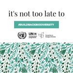 روز جهانی تنوع زیستی 2023: از توافق تا اقدام