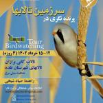 پرنده‌نگری در تالاب کانی برازان و تالاب‌های شهرستان نقده | 12 تا 15 خرداد 1402