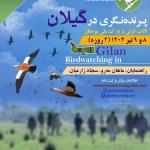 پرنده نگری در گیلان: تالاب انزلی و پارک ملی بوجاق | 8 و 9 تیر 1402