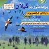 برنامه پرنده‌نگری در گیلان - ویژه کودکان | 18 و 19 آبان 1402