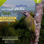 پرنده‌نگری در جنگل‌های خیرود نوشهر | 18 و 19 آبان 1402