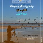 برنامه پرنده‌نگری در تالاب مره | جمعه 6 بهمن 1402