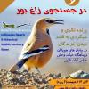 برنامه ترکیبی مشاهده خزندگان و پرندگان (در جستجوی زاغ بور) | عباس آباد نائین | 13 و 14 اردیبهشت 1403