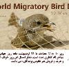  گزارش برنامه روز جهانی پرندگان مهاجر